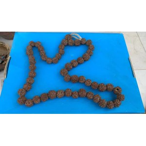 Antique Old Natural Original Hindu Pray Rudraksh Necklace Lord Shiva Bead Mala