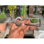 Vintage Iron Hand Forged Garden Pruning Shears Cutter W/ Volute Spring Flip Lock