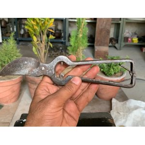 Vintage Iron Hand Forged Garden Pruning Shears Cutter W/ Volute Spring Flip Lock